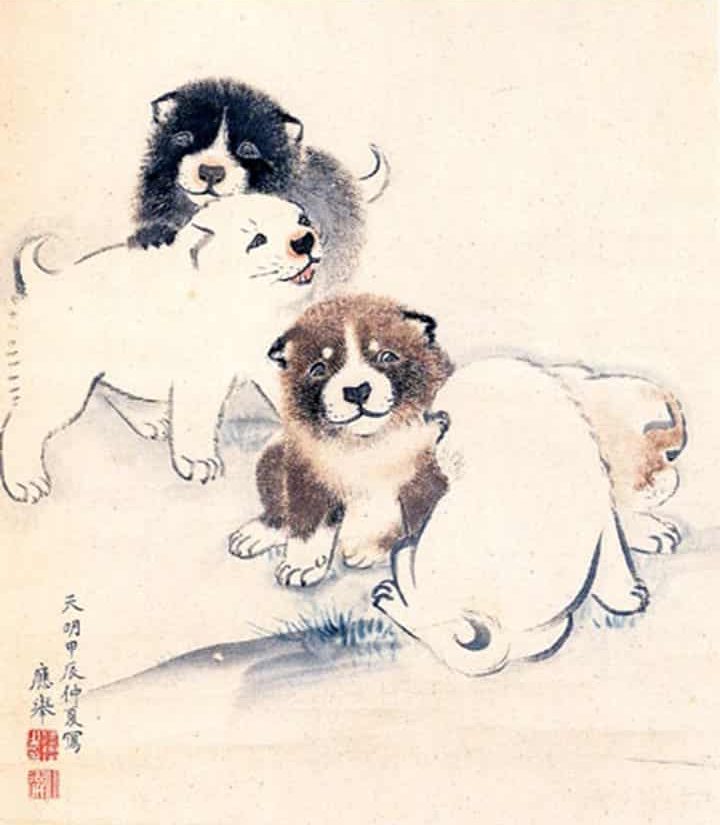 円山応挙は生涯で30匹以上のかわいい犬の絵を描いた犬好きだった いぬころ