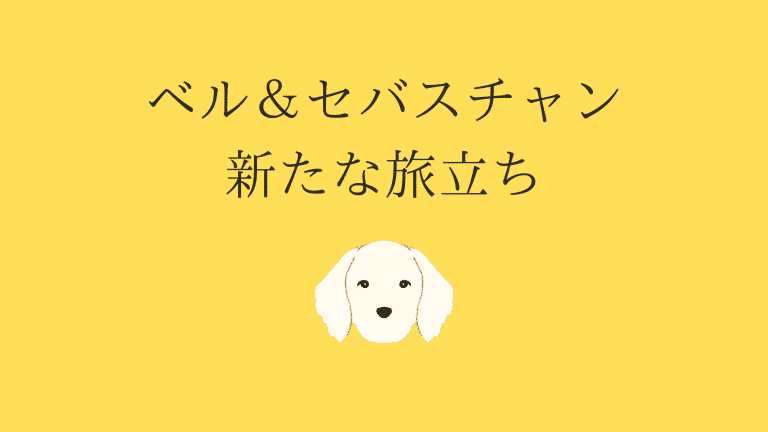 アマゾンレビュー☆5.0満点連発のフランス犬映画『ベル＆セバスチャン 新たな旅立ち』│いぬころ