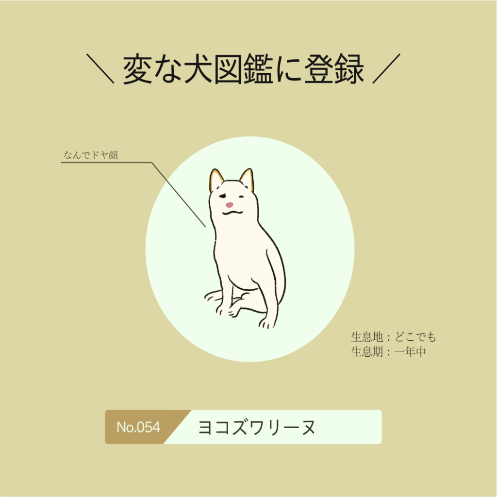No.054 ヨコズワリーヌ｜変な犬図鑑│いぬころ
