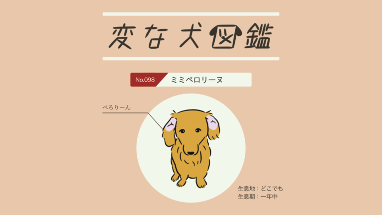 いぬ@プロフお読みください No.098 ミミペロリーヌ｜変な犬図鑑│いぬころ