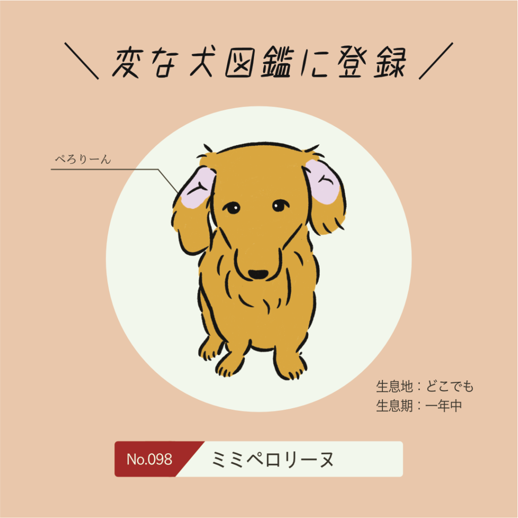 No.098 ミミペロリーヌ｜変な犬図鑑│いぬころ