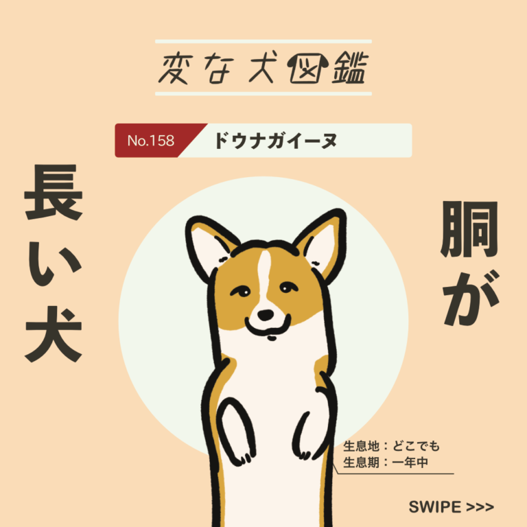 No.158 ドウナガイーヌ｜変な犬図鑑│いぬころ
