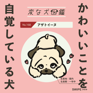 No.168 アザトイーヌ｜変な犬図鑑│いぬころ