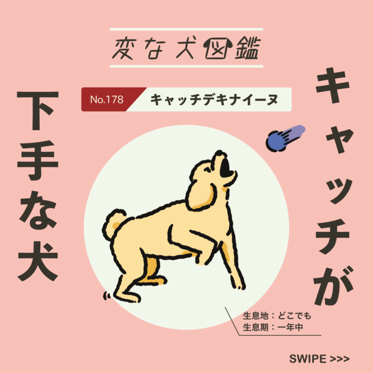 No.178 キャッチデキナイーヌ | 変な犬図鑑│いぬころ