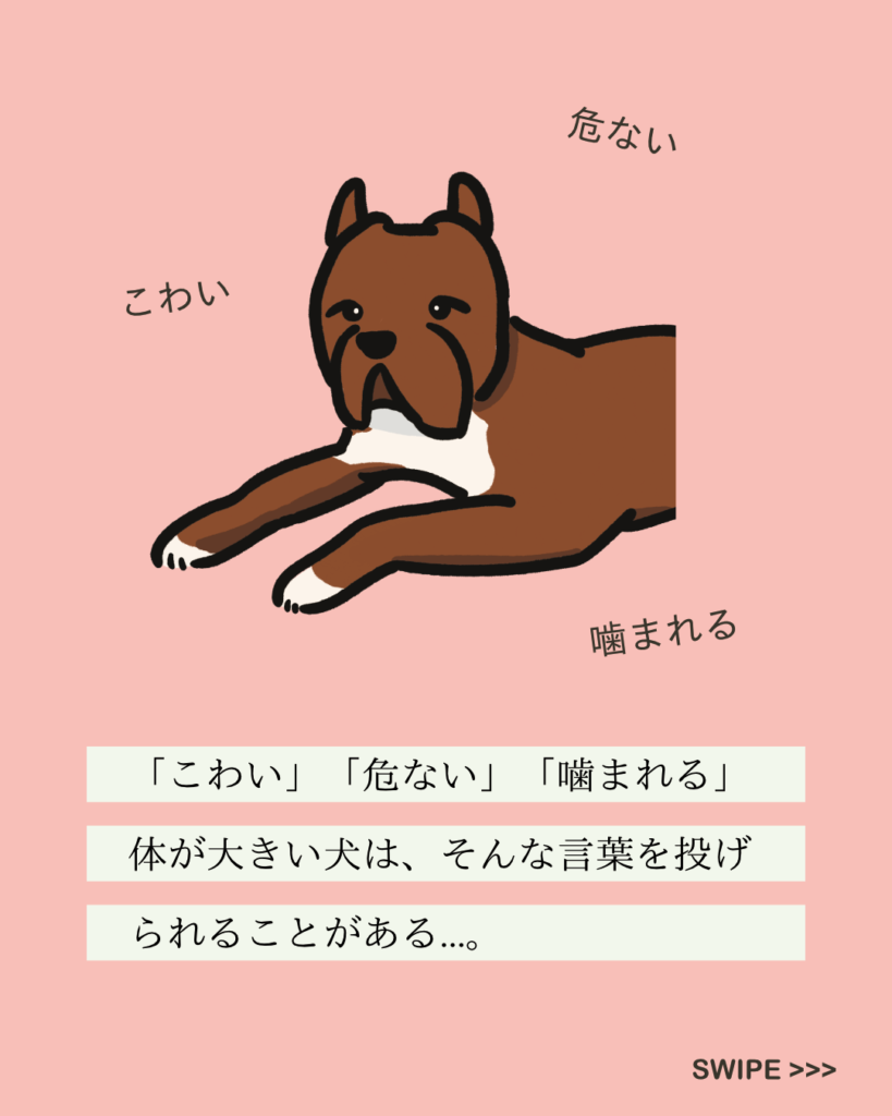 No.192 デカイーヌ｜変な犬図鑑│いぬころ