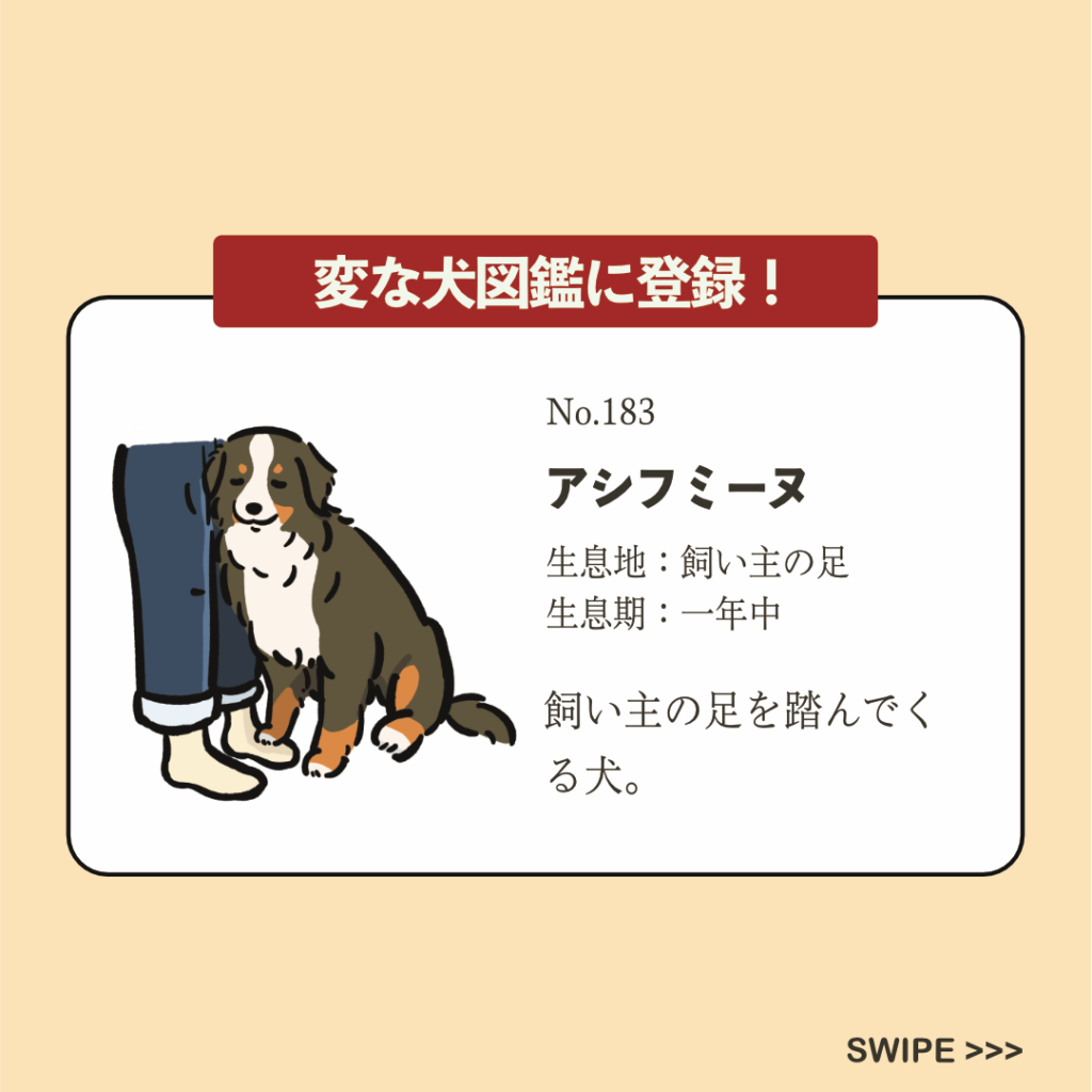 No.183 アシフミーヌ｜変な犬図鑑│いぬころ